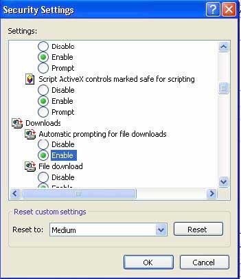 Picture of the open security settings window with the enable option highlighted under the downloads section