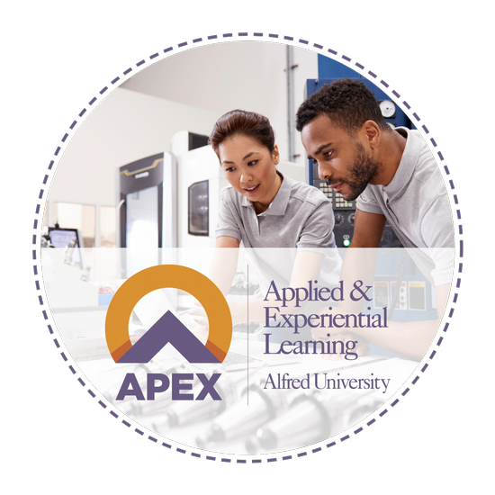 APEX logo