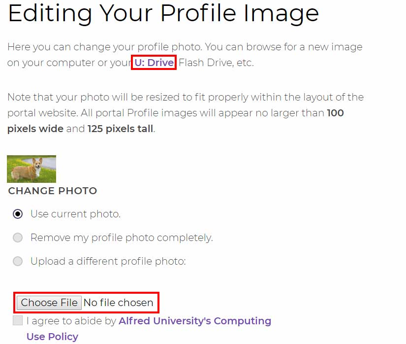 A screenshot of the editing your profile image page with the U:Drive link and Choose file button highlighted