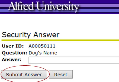 security menu with 'submit answer' circled