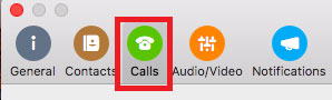 The preferences menu options with Calls highlighted