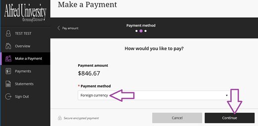 Example of the Make a Payment page with samples of what a student's balance might look like and an entry box for inputting how much the student wishes their payment to cover.