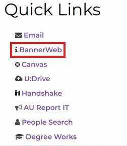 A link titled 'BannerWeb' is highlighted indicating it takes the user to that webpage. 