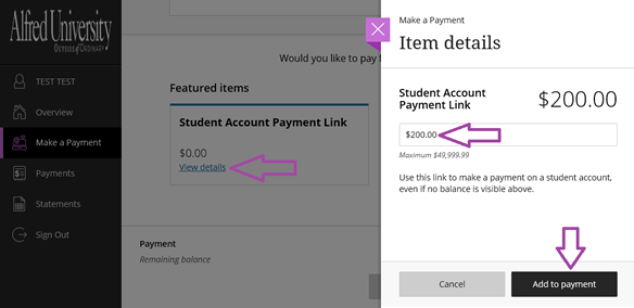 Example: How to make a payment on a general student account's balance under the view details button on his/her make a payment page