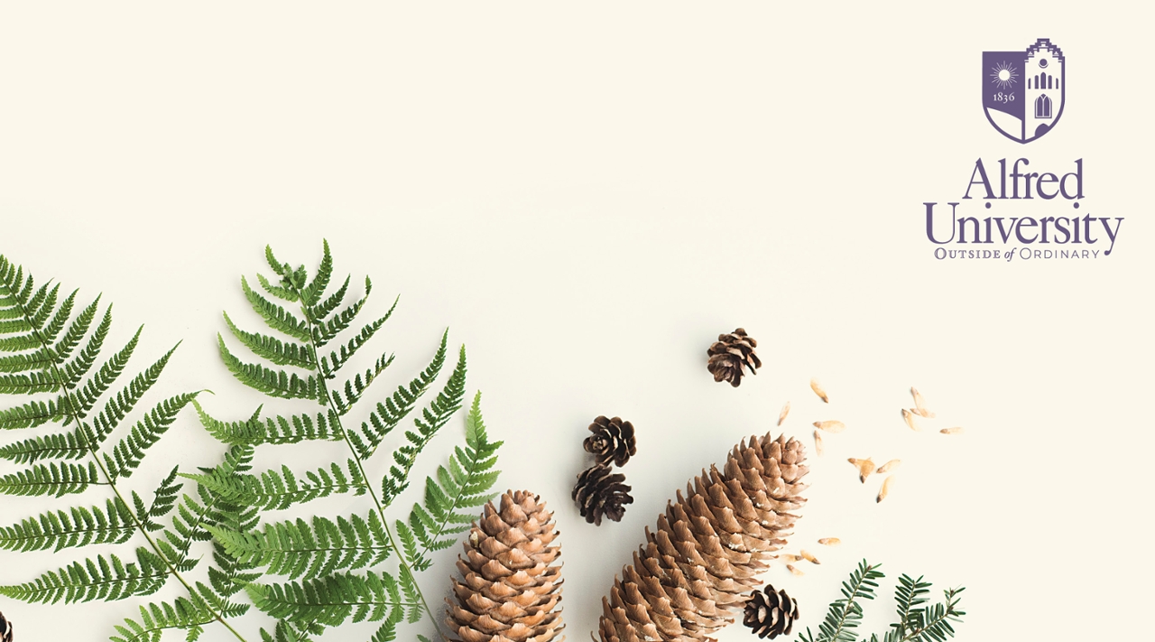 ferns and pinecones background image